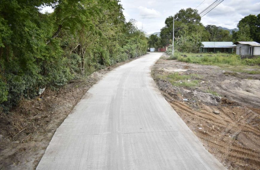 Provincial and Local Roads Improvement&hellip;